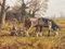 James Wright, Campagna inglese con cavalli e aratri, anni '90, Olio, Immagine 6