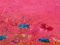 Angela Wakefield, Abstract Turquoise & Red Flowers on Pink Background, 2021, Acrylic, Framed 3