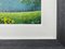 Andy Saunders, Daffodil Woods, 2021, Painting, Framed 6