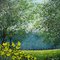 Andy Saunders, Daffodil Woods, 2021, Gemälde, Gerahmt 5