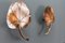 Mid-Century Modern French Water Lily Leaf-Shaped Sconces in Brass, 1980s, Set of 2, Image 3