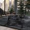 Small Ted Masterpiece Nero Ash Table by Greyge, Image 7