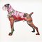 Peter Clark, Hand-Finished Art Collage of Boxer Dog, 2014, Art Print 1