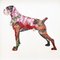 Peter Clark, Hand-Finished Art Collage of Boxer Dog, 2014, Art Print, Image 1