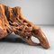 Japanese Burl Root Wood Plant Stand, 1950s, Image 9