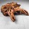 Japanese Burl Root Wood Plant Stand, 1950s, Image 6