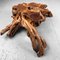 Japanese Burl Root Wood Plant Stand, 1950s, Image 3