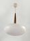 Vintage Pendant Hanging Lamp by Louis Kalff Philips, 1950s 1