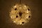 Lámpara de araña Sputnik Flocon-Dandelion de Emil Stejnar, años 60, Imagen 5