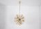 Lámpara de araña Sputnik Flocon-Dandelion de Emil Stejnar, años 60, Imagen 4