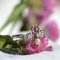 Anillo de oro rosa de 18 kt con diamantes de perlas finas de granate francés del siglo XIX, Imagen 3