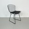 Vintage Black Powder Coated Bertoia Side Chair by Harry Bertoia, 1950s, Image 1