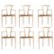 Gaulino Chairs in Natural Varnished Ash and Natural Hide, Set of 6 1