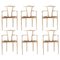 Gaulino Chairs in Natural Varnished Ash and Natural Hide, Set of 6, Image 1