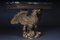 Eagle Consoles by William Kent, Set of 2 9