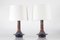 Danish Modern Sculptural UFO Shaped Table Lamps from Søholm, 1960s, Set of 2, Image 3