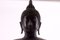 Bouddha Shakyamuni Sculpture in Bronze, 1890s 2