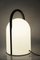 Large Tender Table Lamp by Romolo Lanciani for Tronconi, Italy 5