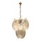 Frosted Murano Glass Leaf Chandelier, 1970s, Image 1