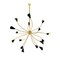 Lámpara de araña Sputnik Mid-Century con brazos flexibles, Imagen 1