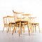 Blonde Stickback Dining Chairs from Ton, 1950s, Set of 6 9