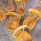 Blonde Bentwood Café Dining Chairs attributed to Baumann, 1950s, Set of 7, Image 4