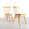 Classic Stickback Dining Chairs from Ton, 1950s, Set of 2 4