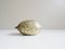 Brass Nutcracker in Walnut Form, 1960s 1