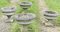 Macetas de jardín grandes de piedra fundida desgastada, años 30. Juego de 4, Imagen 7
