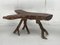 Dutch Rustic Wabi Sabi Tree Branch Coffee or Side Table, 1960s, Image 15