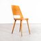 French Honey Dining Chair in Beech and Bentwood by Joamin Baumann, 2010s, Set of 6 7