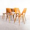 French Honey Dining Chair in Beech and Bentwood by Joamin Baumann, 2010s, Set of 6 9