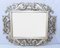 Gilt Rococo Mirror in Silver Carved Frame 1