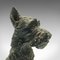 British Edwardian Scottish Terrier Figure, 1910s 9