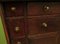 Antique Georgian Spice Cabinet with Drawers 15