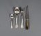 Alpacca Cutlery Model Veritable, 1920s, Set of 48, Image 2