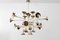 Large Botti Collection 24-Light Chandelier from Delightfull, 2000s, Image 3