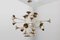 Large Botti Collection 24-Light Chandelier from Delightfull, 2000s, Image 2