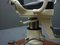 Vintage Dentist Chair from Ritter, 1938s 12