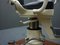 Vintage Dentist Chair from Ritter, 1938s, Image 12