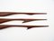 Large Flying Crane Wall Decorations in Teak, 1950s, Set of 3 6