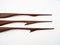 Large Flying Crane Wall Decorations in Teak, 1950s, Set of 3, Image 6