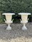 Vintage Urns with White Cast Iron Handles, 1970, Set of 2 1