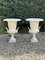 Vintage Urns with White Cast Iron Handles, 1970, Set of 2, Image 1