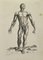Jean François Poletnich, Anatomiestudien Muskeln nach Tizian, Radierung, 1755 1