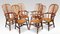 19th Century Yew Wood Windsor Armchairs, Set of 6 1