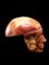 Anatomischer Schnitt eines menschlichen Schädels Pappmaché von Dr. Auzoux 6