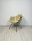 Vintage Fiberglass Lax Lounge Armchair by Charles & Ray Eames for Herman Miller, 1970s, Image 1