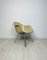 Vintage Fiberglass Lax Lounge Armchair by Charles & Ray Eames for Herman Miller, 1970s 3