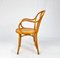 Bentwood Armchair from ZPM Radomsko, 1950s, Image 3